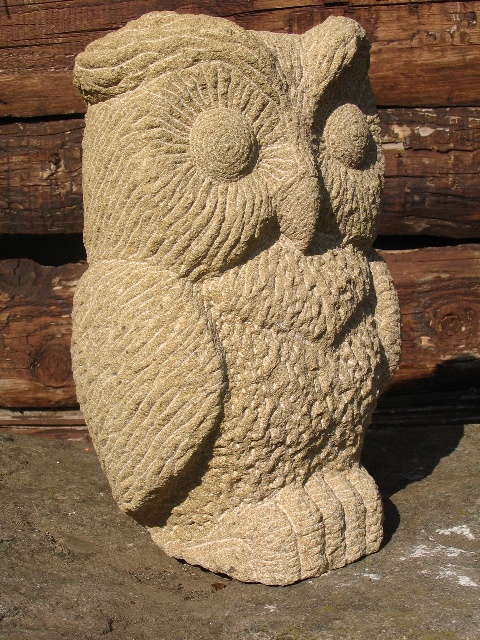 Kleine Eule (1).JPG
